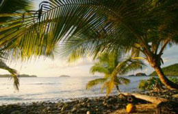 Beautiful view of the Caribbean from the Botany Bay Resort.