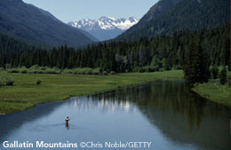 America is a land filled with beauty like these gorgeous Gallatin Mountains in Montana.