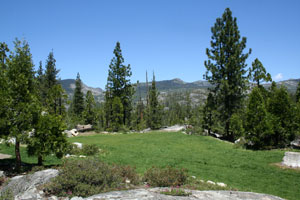 One of the Shinneyboo Creek Cabins and camping areas. This property is located in the Sierra Nevada near Truckee on 160 acres.